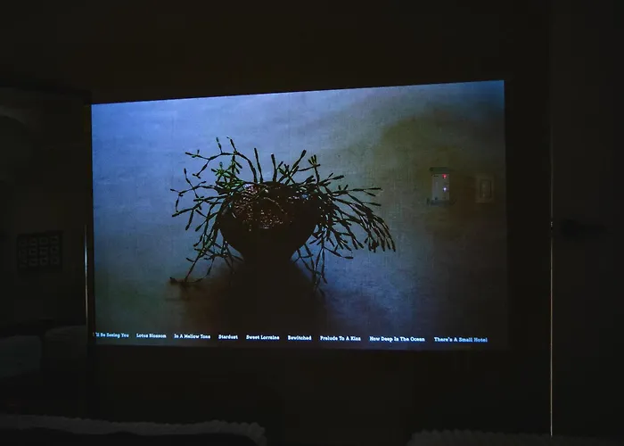 Hyun Appartement *